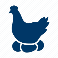 Chicken Icon